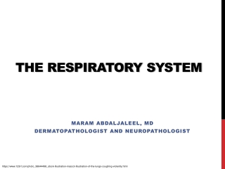 The Respiratory S ystem