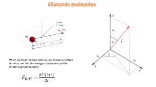Diatomic molecules