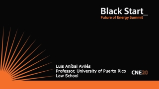 Luis Aníbal Avilés Professor, University of Puerto Rico Law School