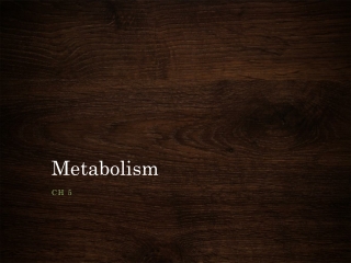 Metabolism