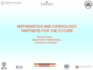 MATHEMATICS AND CARDIOLOGY: PARTNERS FOR THE FUTURE