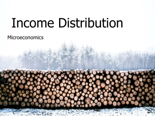 Income Distribution