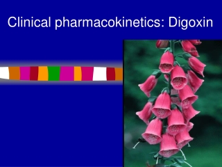 Clinical pharmacokinetics: Digoxin