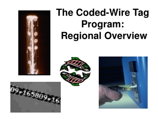 The Coded-Wire Tag Program: Regional Overview