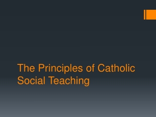 The Principles of Catholic Social Teaching