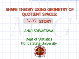 SHAPE THEORY USING GEOMETRY OF QUOTIENT SPACES: STORY