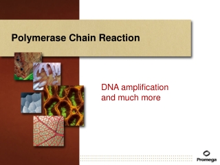 Polymerase Chain Reaction