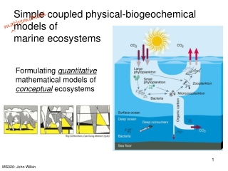 Simple coupled physical-biogeochemical models of marine ecosystems