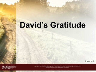 David’s Gratitude