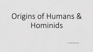 Origins of Humans &amp; Hominids