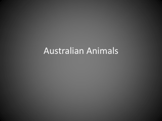 Australian Animals