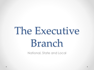 The Executive Branch