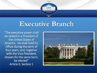 Executive Branch