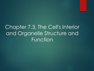 Chapter 7.3, The Cell's Interior and Organelle Structure and Function