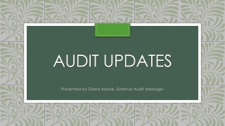 Audit Updates