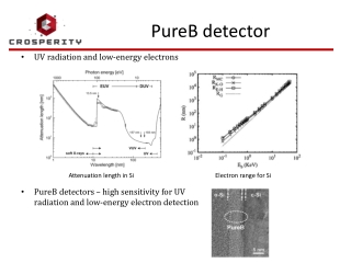 PureB detector