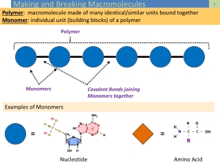 Making and Breaking Macromolecules