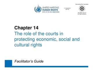 Chapter 14 The role of the courts in 	protecting 	economic , social and 	cultural rights