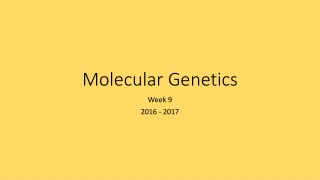 Molecular Genetics