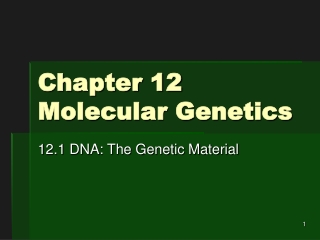 Chapter 12 Molecular Genetics