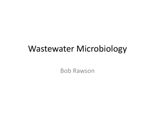 Wastewater Microbiology