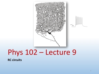 Phys 102 – Lecture 9