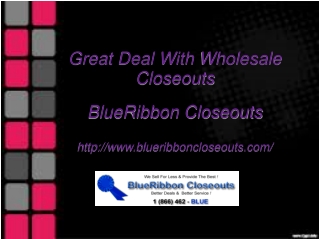 Great Deal With Wholesale Closeouts