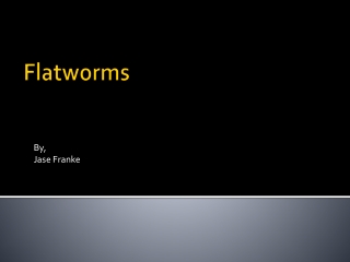 Flatworms