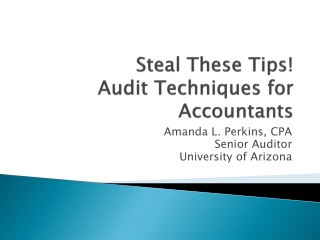 Steal These Tips! Audit Techniques for Accountants