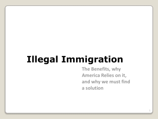 Illegal Immigration