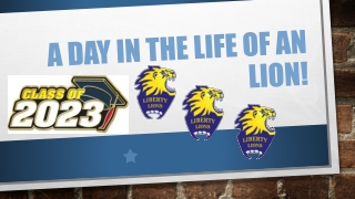 A day in the Life of an Lion!