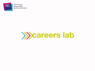 What is Careers Lab?