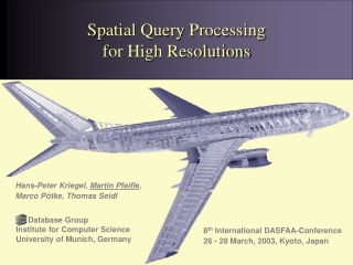 Spatial Query Processing for High Resolutions