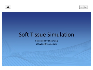 Soft Tissue Simulation