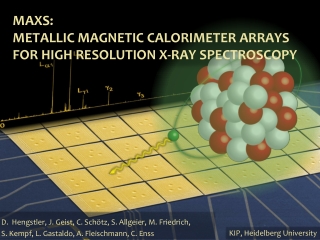 maXs : Metallic Magnetic Calorimeter Arrays for High Resolution X-Ray Spectroscopy