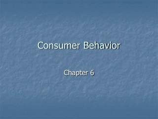 Consumer Behavior