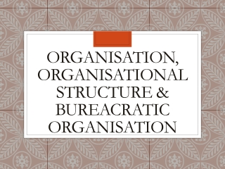 ORGANISATION, ORGANISATIONAL STRUCTURE &amp; BUREACRATIC ORGANISATION