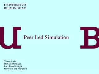 Peer Led Simulation