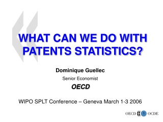 WHAT CAN WE DO WITH PATENTS STATISTICS?