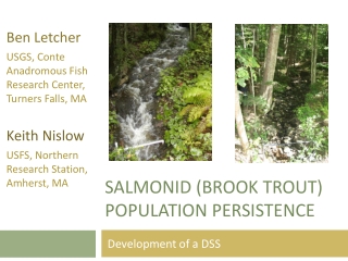 Salmonid (Brook trout) population persistence