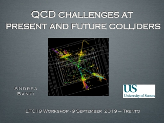 QCD challenges at present and future colliders
