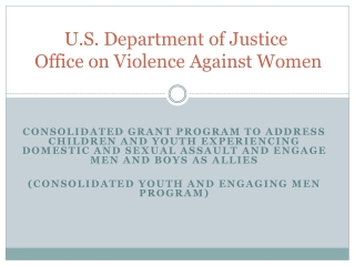 U.S. Department of Justice Office on Violence Against Women