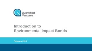 Introduction to Environmental Impact Bonds