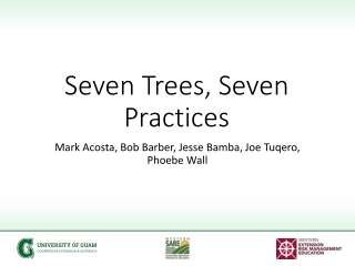 Seven Trees, Seven Practices