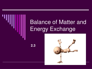 Balance of Matter and Energy Exchange