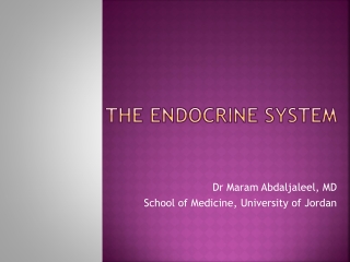 The endocrine system