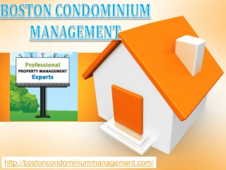 Top Property Management Companies Boston