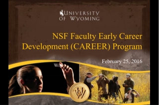 NSF Faculty Early Career Development (CAREER) Program
