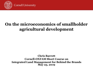 On the microeconomics of smallholder agricultural development