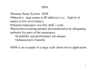 Domain Name System: DNS